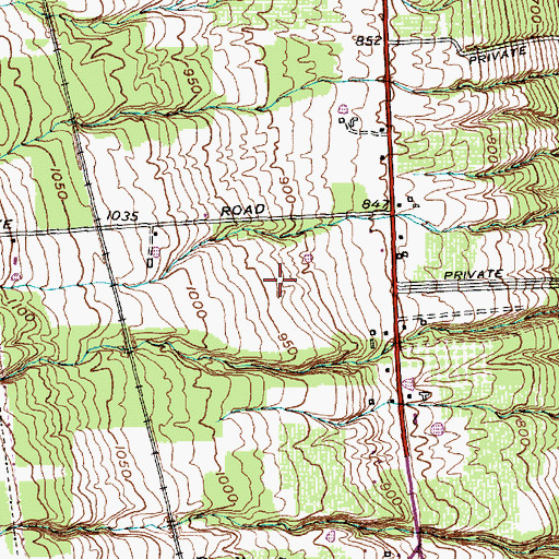 Topographic Map of Fox Run Golf Course, NY