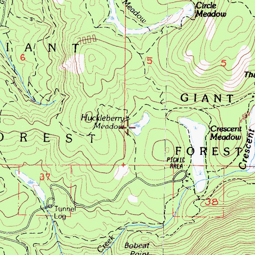 Topographic Map of Huckleberry Meadow, CA