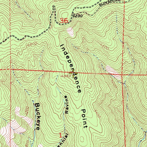 Topographic Map of Independence Point, CA