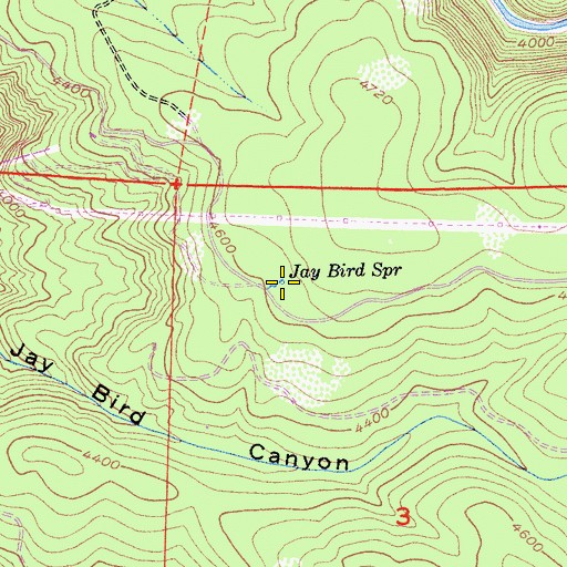 Topographic Map of Jay Bird Spring, CA