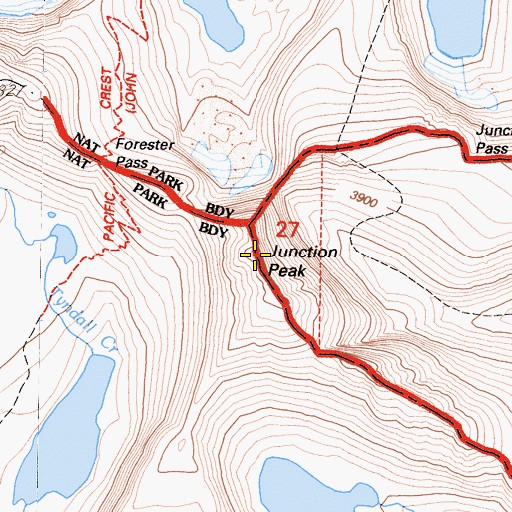 Topographic Map of Junction Peak, CA