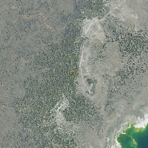 Aerial/Satellite Image of Lake of the Woods, CA