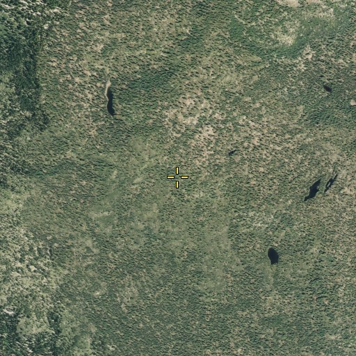 Aerial/Satellite Image of Lassen Volcanic National Park, CA