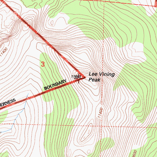 Topographic Map of Lee Vining Peak, CA