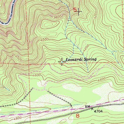 Topographic Map of Leonardi Spring, CA