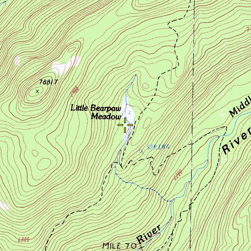 Topographic Map of Little Bearpaw Meadow, CA