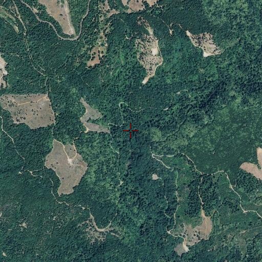 Aerial/Satellite Image of Little Buckeye Creek, CA