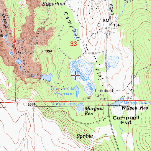 Topographic Map of Littlefield Reservoir, CA