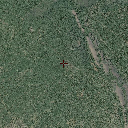 Aerial/Satellite Image of Logan Mountain, CA