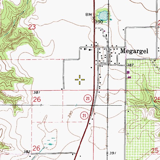 Topographic Map of Megargel Census Designated Place, AL