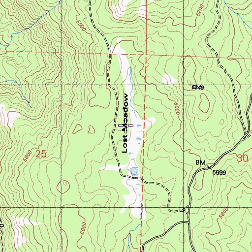 Topographic Map of Lost Meadow, CA