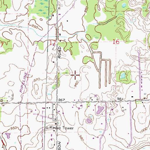 Topographic Map of Three Fires Middle School, MI