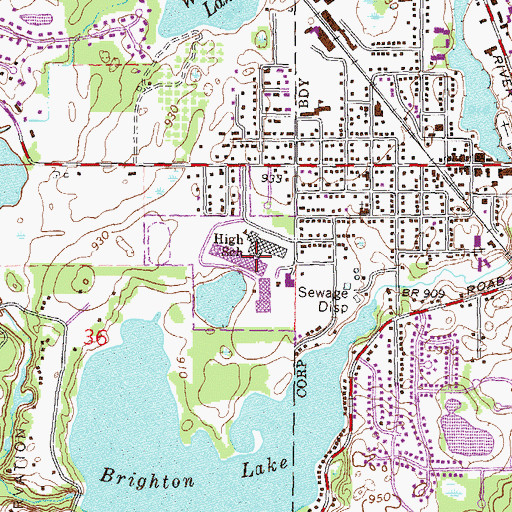 Topographic Map of Brighton High School, MI