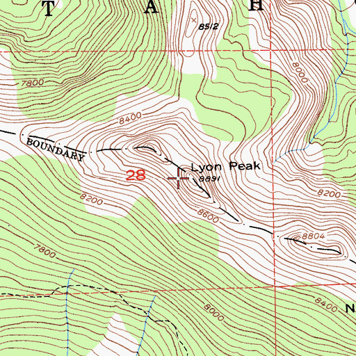 Topographic Map of Lyon Peak, CA
