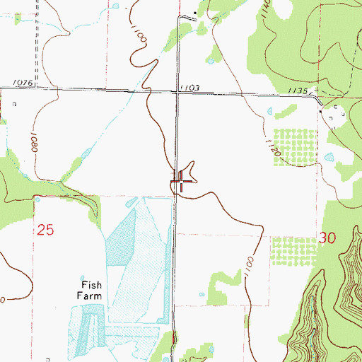 Topographic Map of Lowrey, OK