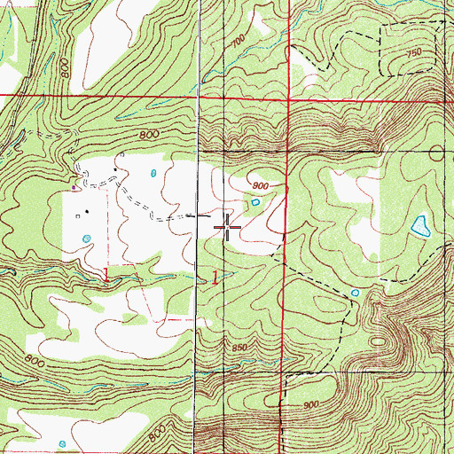 Topographic Map of Remy, OK