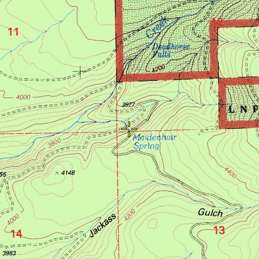 Topographic Map of Maidenhair Spring, CA
