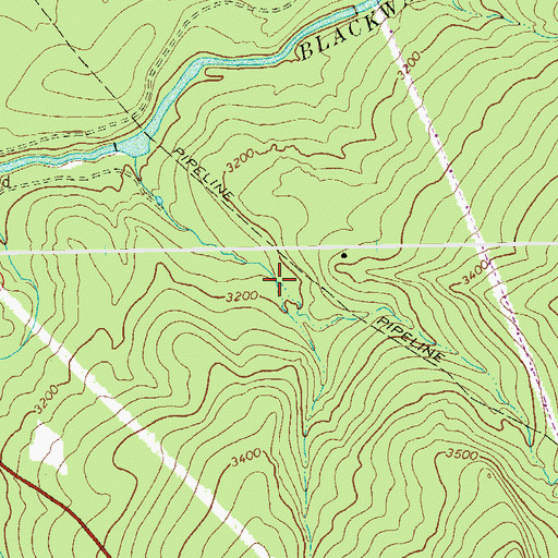 Topographic Map of West Branch Weimer Run, WV