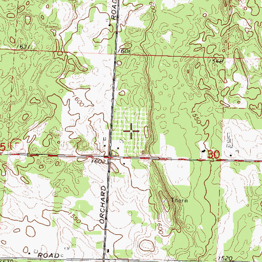 Topographic Map of Grandview Orchard, WI