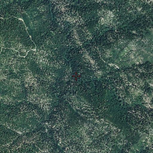 Aerial/Satellite Image of McFarlane Ravine, CA