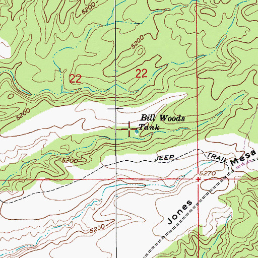 Topographic Map of Bill Woods Tank, AZ