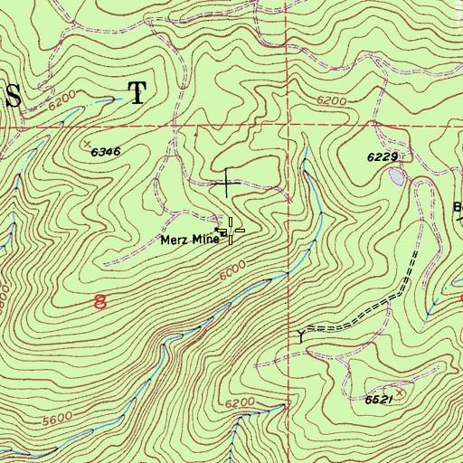 Topographic Map of Merz Mine, CA