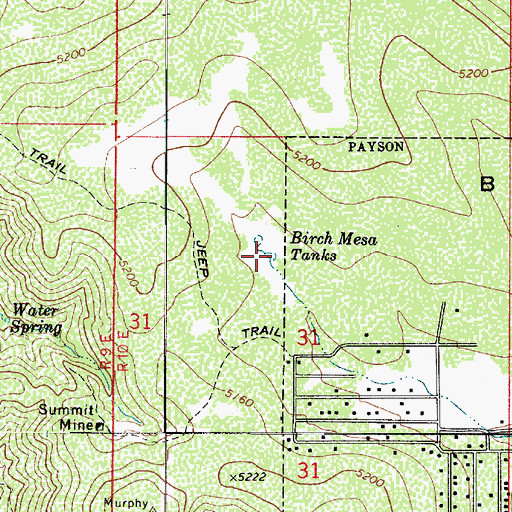 Topographic Map of Birch Mesa Tanks, AZ