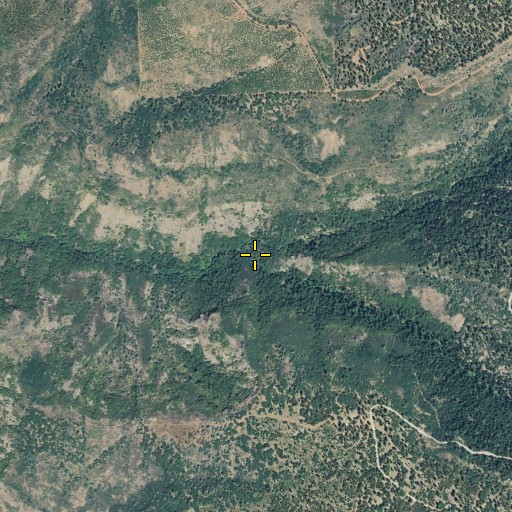 Aerial/Satellite Image of Middle Fork Antelope Creek, CA