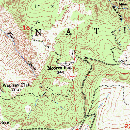 Topographic Map of Moores Flat, CA