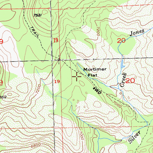 Topographic Map of Mortimer Flat, CA