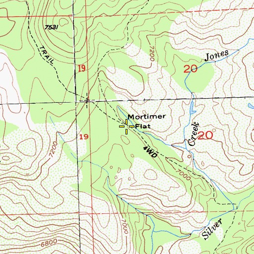 Topographic Map of Mortimer Flat, CA