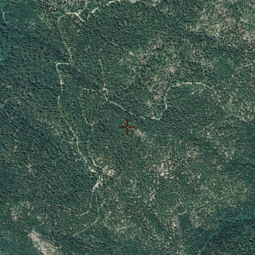 Aerial/Satellite Image of Mosquito Ridge, CA
