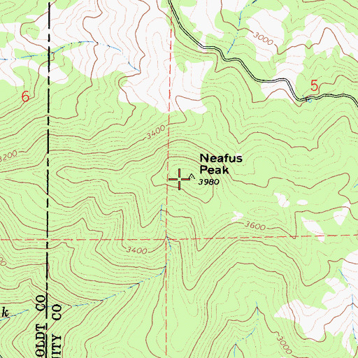 Topographic Map of Neafus Peak, CA