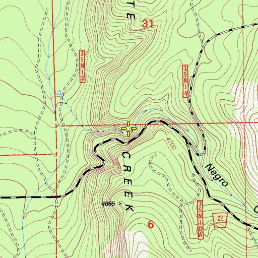 Topographic Map of Negro Camp Gulch, CA