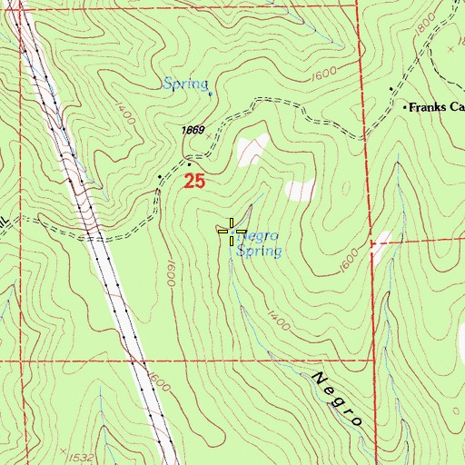 Topographic Map of Negro Spring, CA