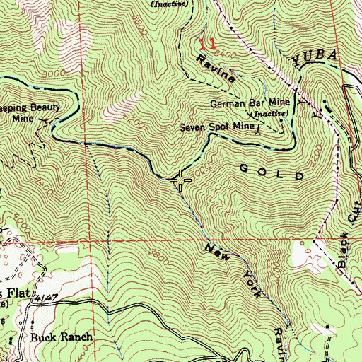 Topographic Map of New York Ravine, CA