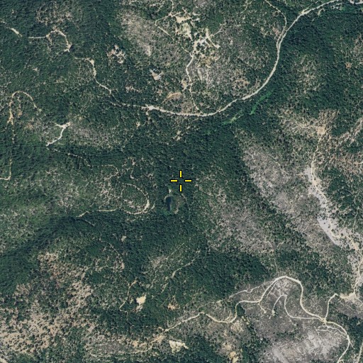 Aerial/Satellite Image of Newtown Flat, CA