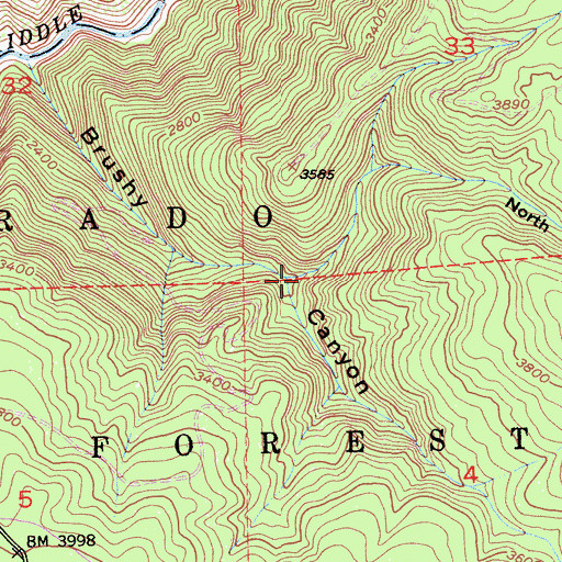 Topographic Map of North Branch Brushy Canyon, CA