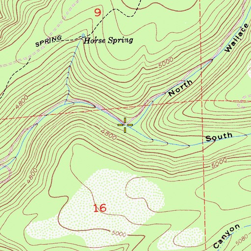 Topographic Map of North Wallace Canyon, CA