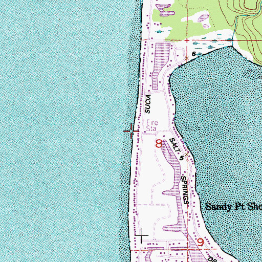 Topographic Map of Whatcom County Fire District 17 Sandy Point, WA