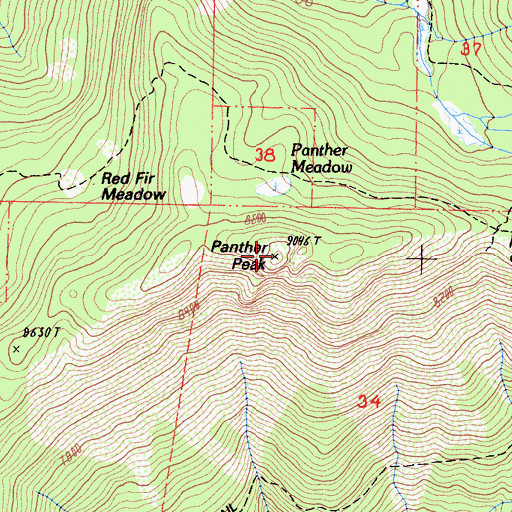 Topographic Map of Panther Peak, CA