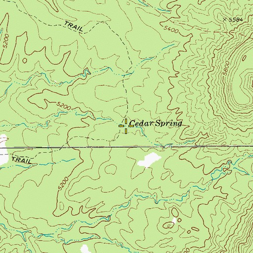 Topographic Map of Cedar Spring, AZ