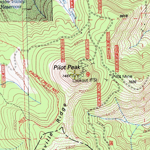 Topographic Map of Pilot Peak, CA
