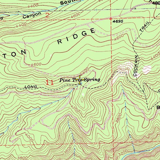 Topographic Map of Pine Tree Spring, CA
