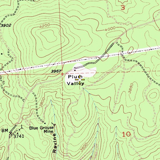 Topographic Map of Plum Valley, CA