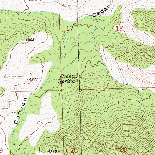 Topographic Map of Cedar Spring, AZ