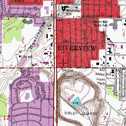 Topographic Map of Ray Street Park, MI
