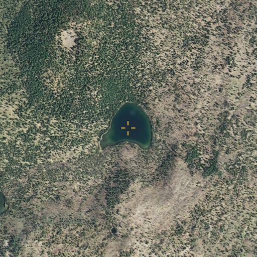 Aerial/Satellite Image of Rainbow Lake, CA