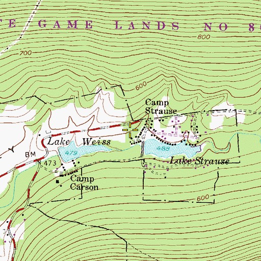Topographic Map of Camp Strause Fire Company Station 45, PA