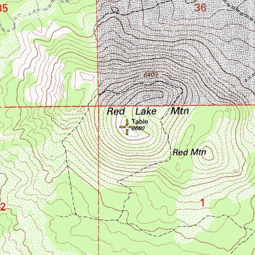 Topographic Map of Red Lake Mountain, CA